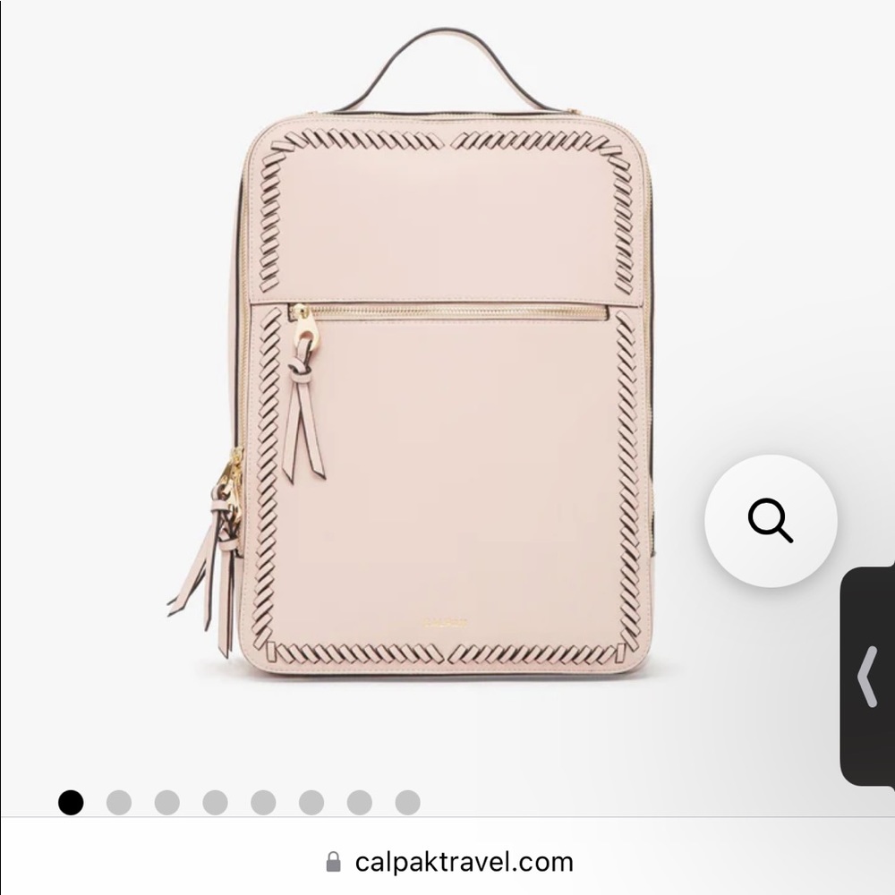 Calpak travel backpack